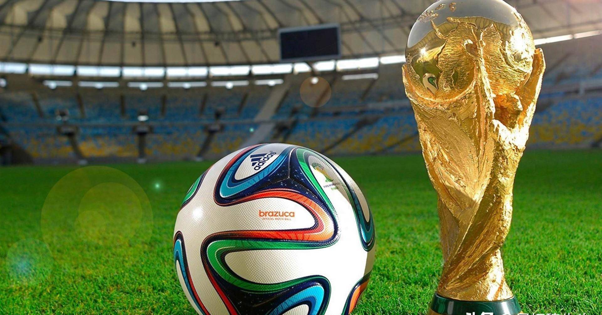 我可以帮你 我可以帮你