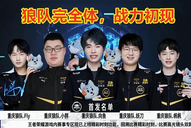 预计将提供